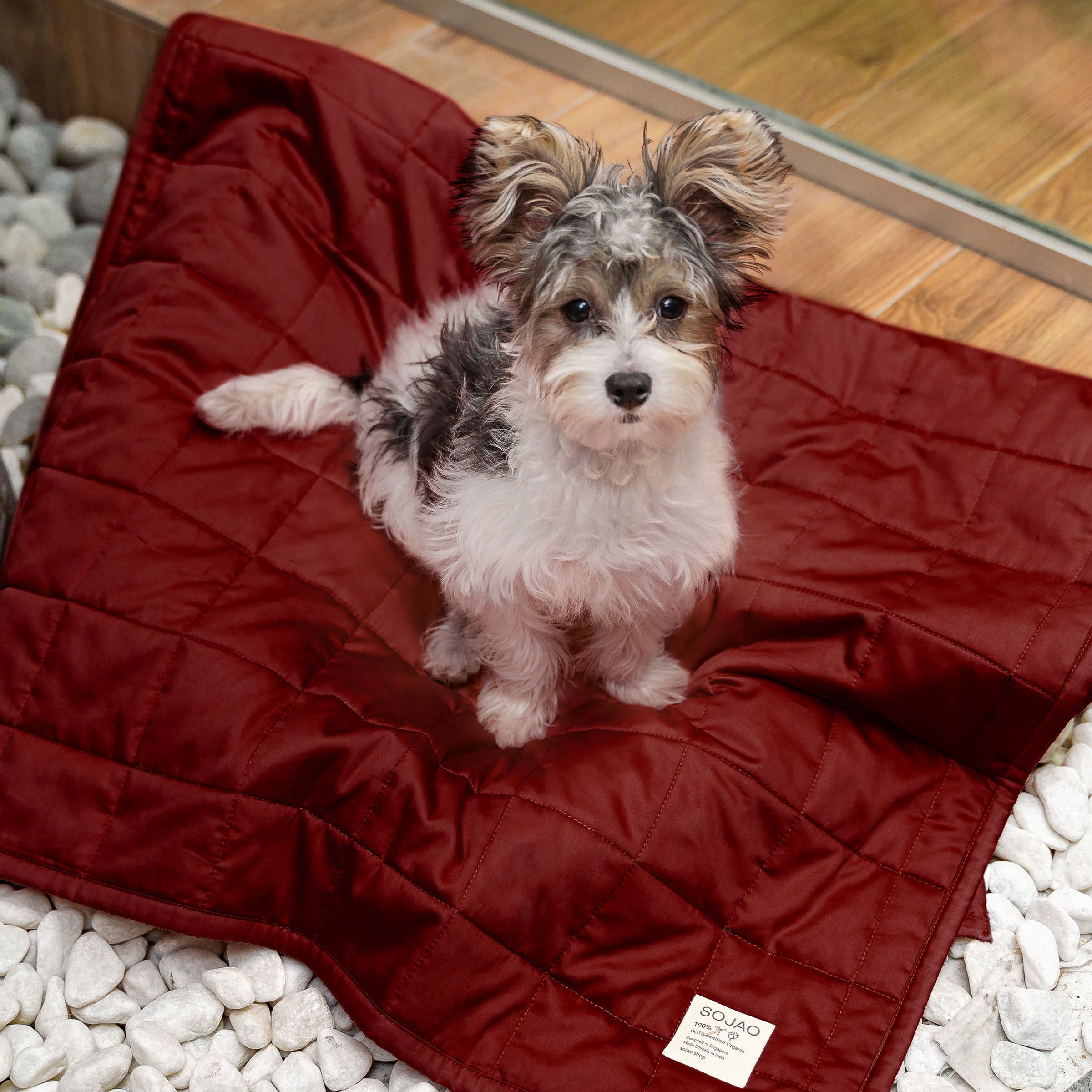 Organic Cotton Pet Quilts