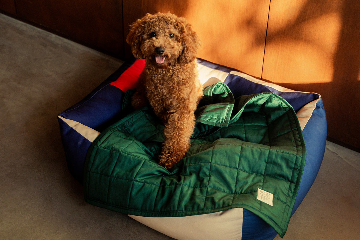 maltipoo-on-forest-organic-cotton-pet-quilt-by-sojao.jpg
