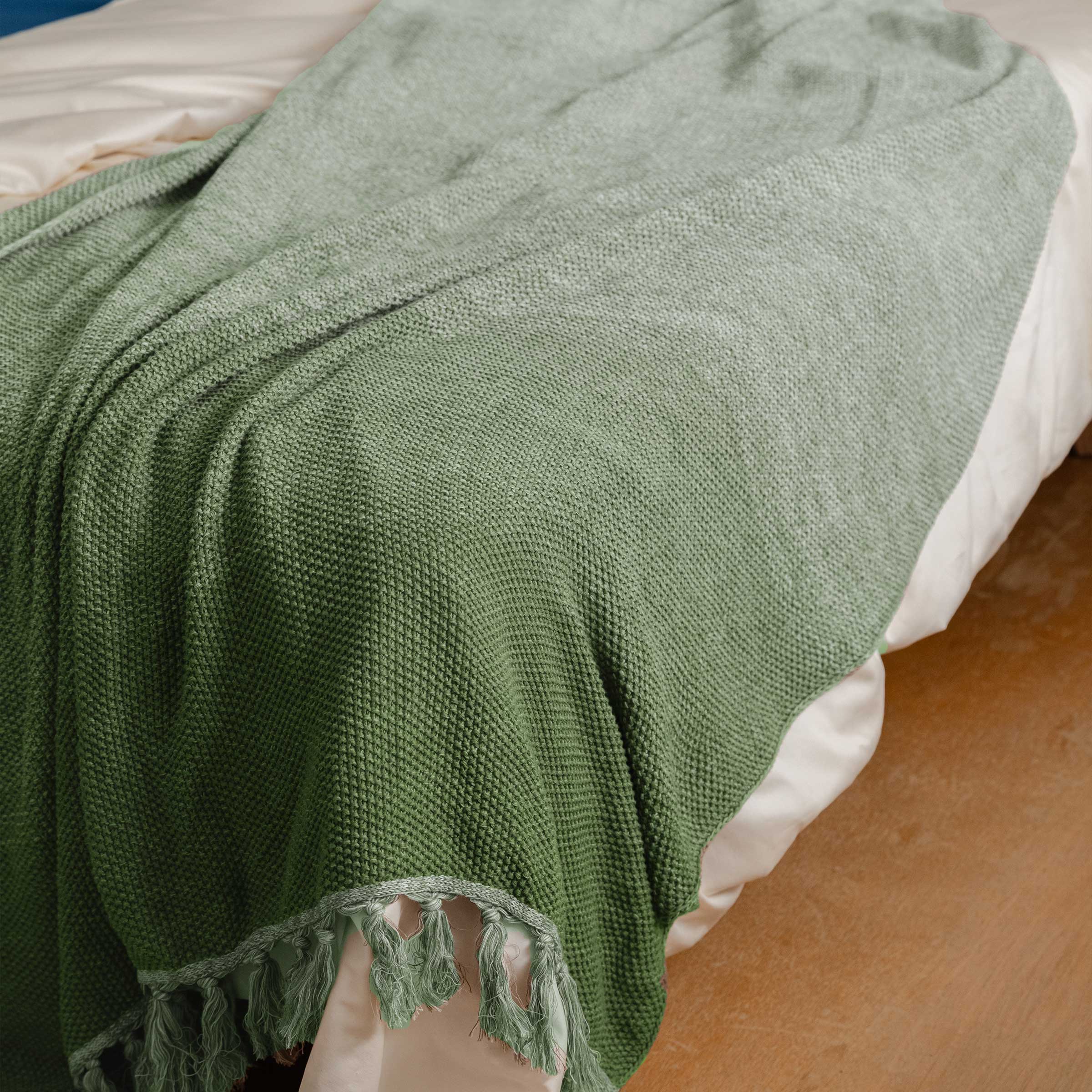 Fringed Ombre Throw