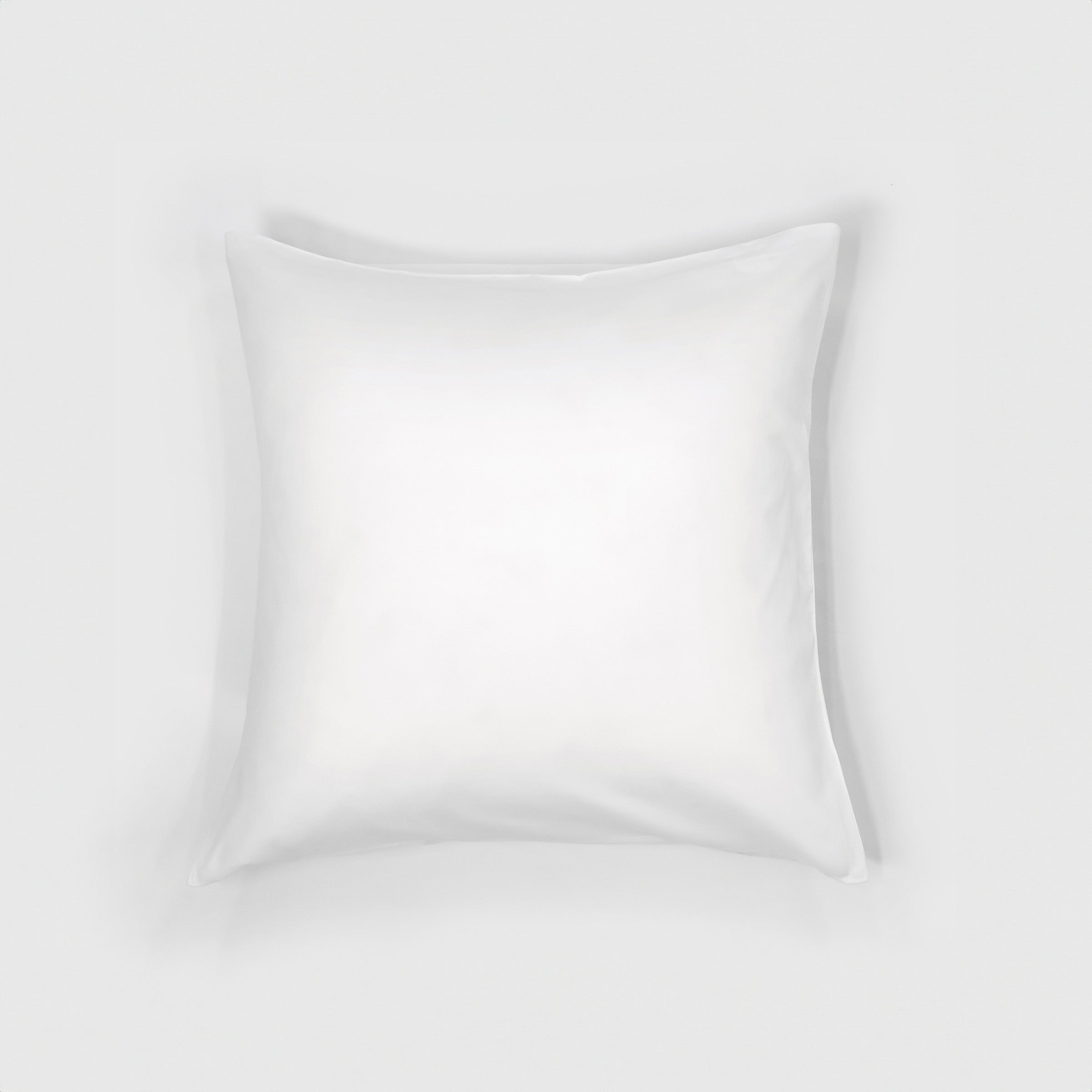 classic-euro-sham-pillowcase-pair-in-white-colour-by-sojao