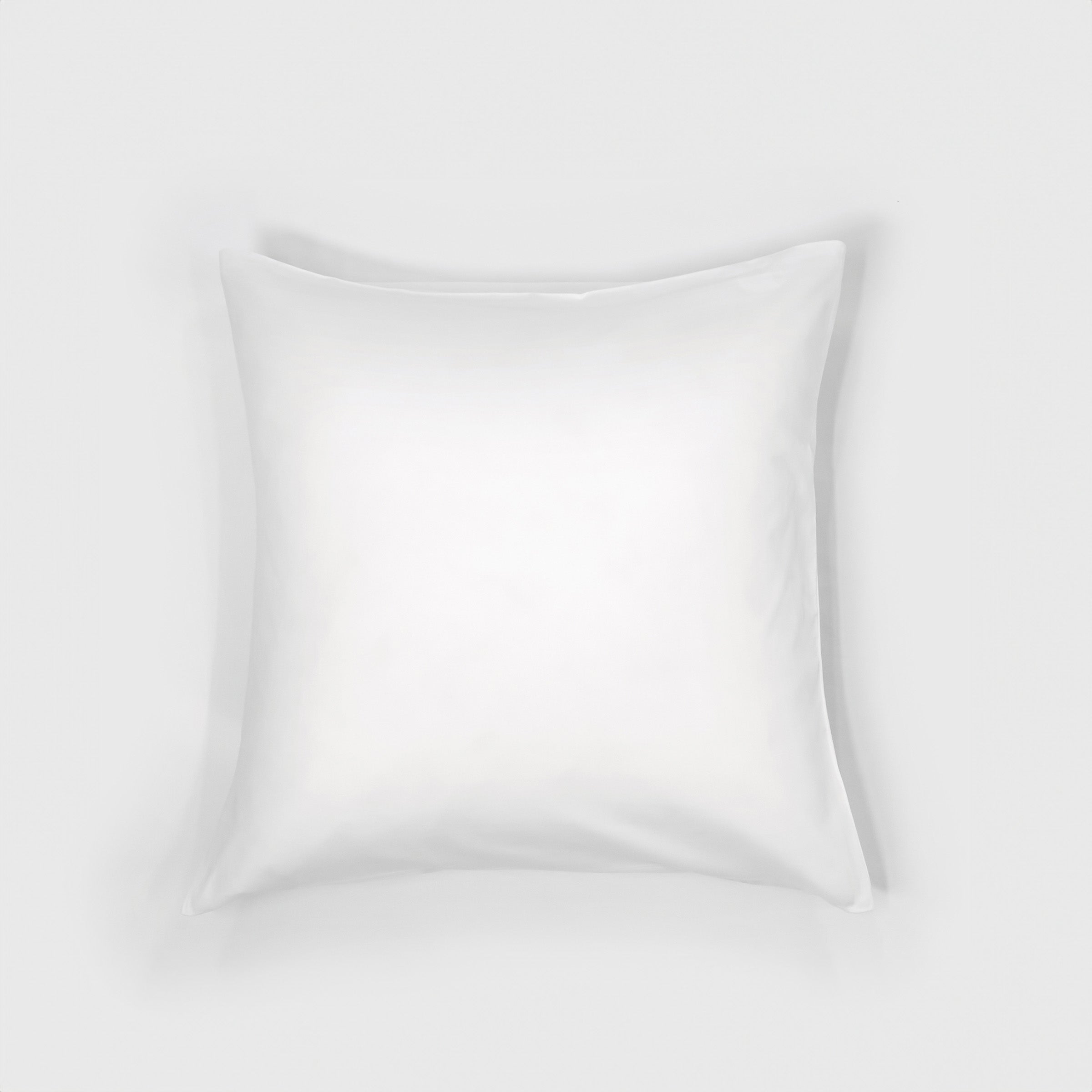 crisp-euro-sham-pillowcase-pair-in-white-colour-by-sojao