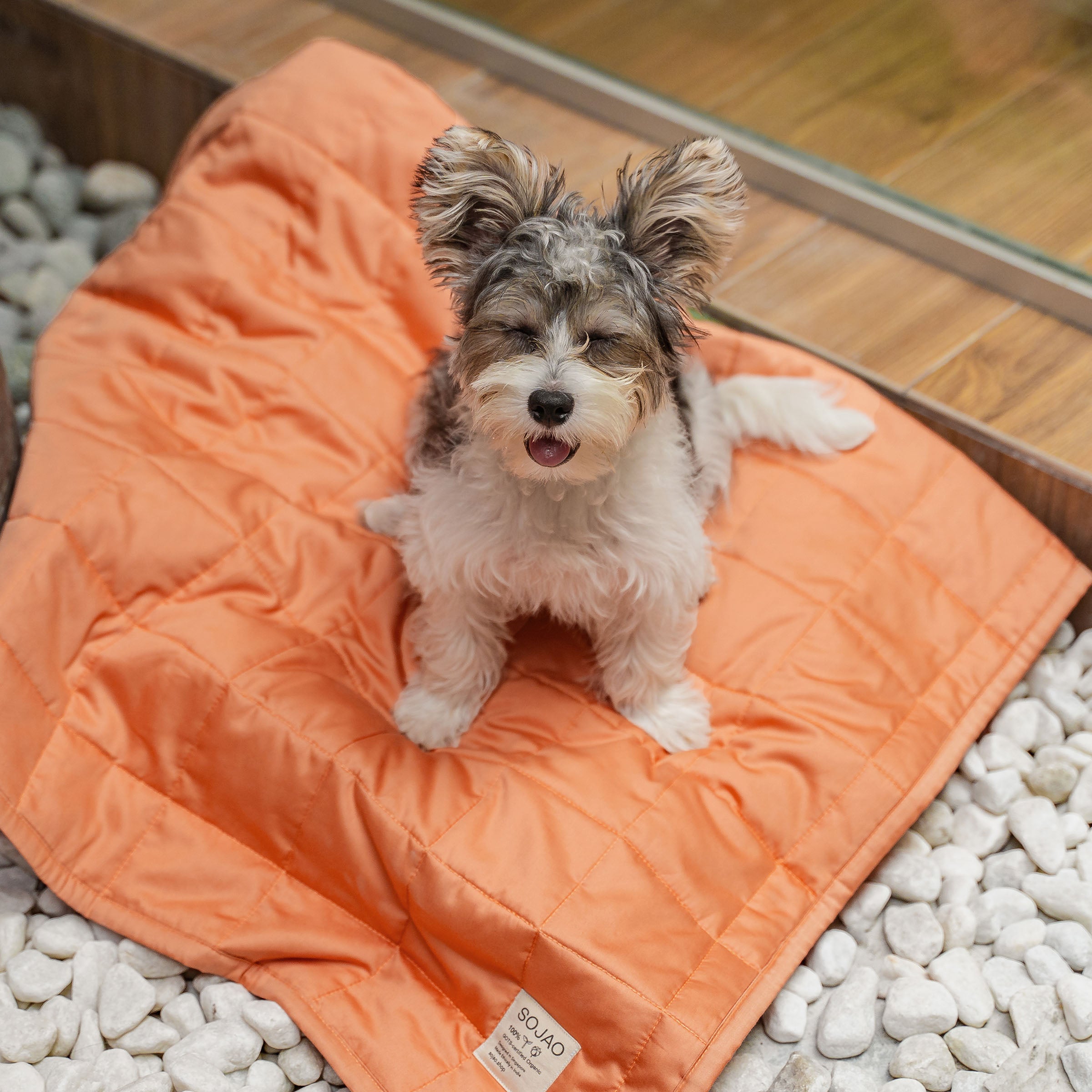 Organic Cotton Pet Quilts